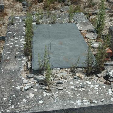 TAYLOR Ann Caroline 1828-1874