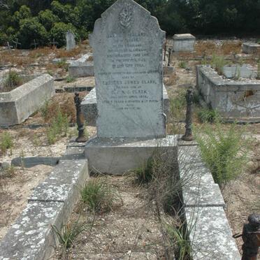 CLARK Caroline nee FUGCLE -1892 :: CLARK Charles James -1899