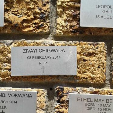 CHIGWADA Zivayi -2014