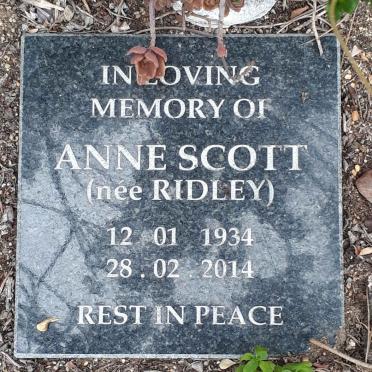 SCOTT Anne nee RIDLEY 1934-2014