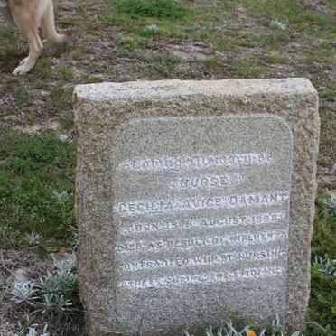 DAMANT Cecilia Avige 1898-?