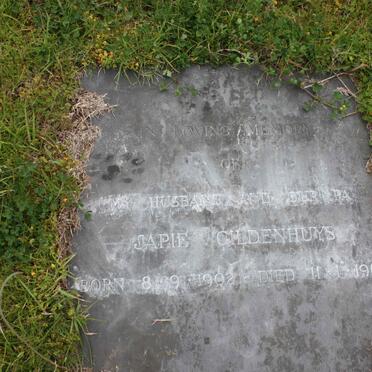 GILDENHUYS Japie 1902-1965