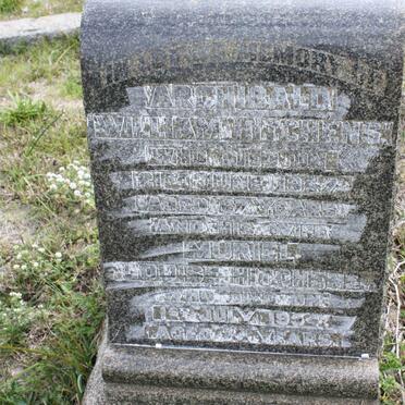 HITCHENS Archibald William -1954