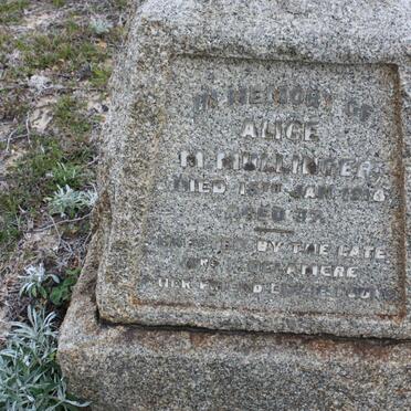 MULLINGER Alice M. -1918