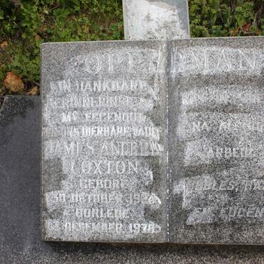 O - Surnames :: Vanne - O