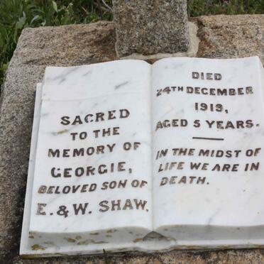 SHAW George  -1919