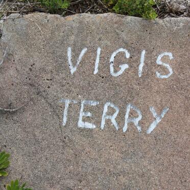 TERRY Vigis