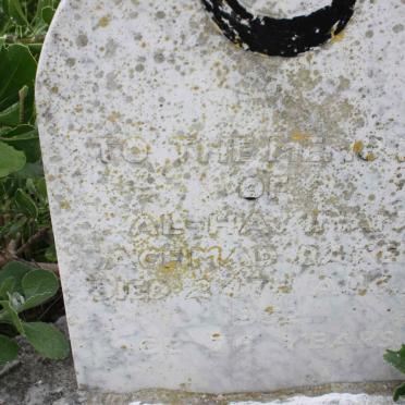 ? Unknown &amp; Illegible graves