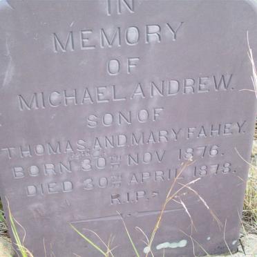 FAHEY Michael Andrew 1876-1878