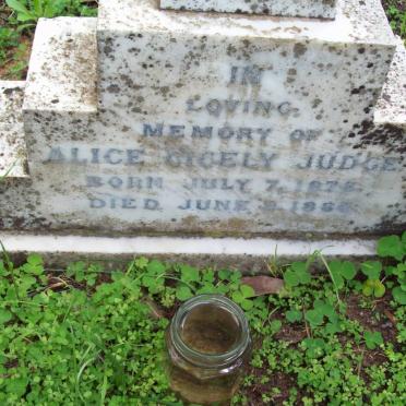JUDGE Alice Cicely 1875-1883