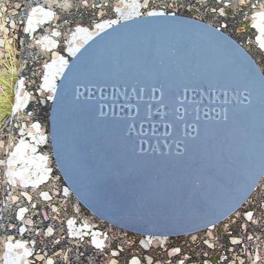 JENKINS Reginald -1891