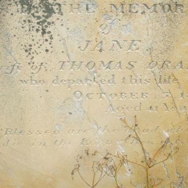 ORANGE Jane -1859