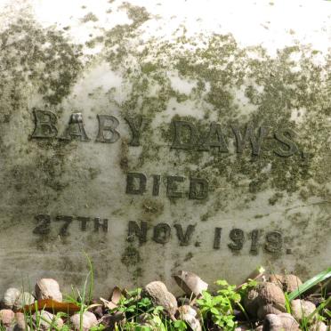 DAWS -1919