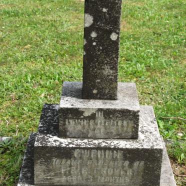 GROVER Gwennie