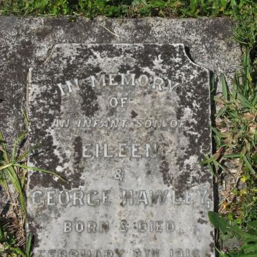 HAWLEY 1916-1916