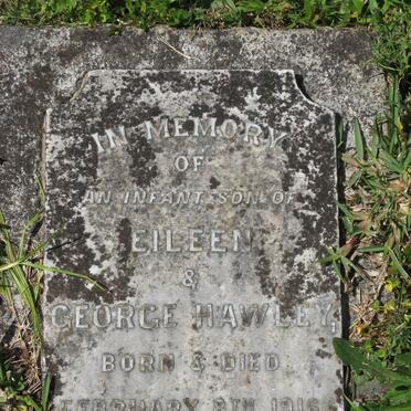 HAWLEY 1916-1916
