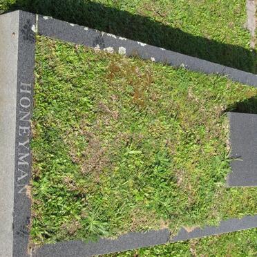 HONEYMAN Eileen -1979