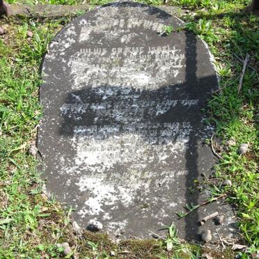 I - Surnames :: Vanne - I