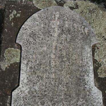 O - Surnames :: Vanne - O