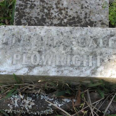 PLOWRIGHT Charles Gale