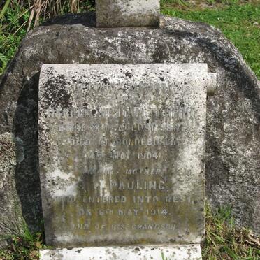 PAULING S.C. -1914 :: PAULING Harold William B. 1864-1904