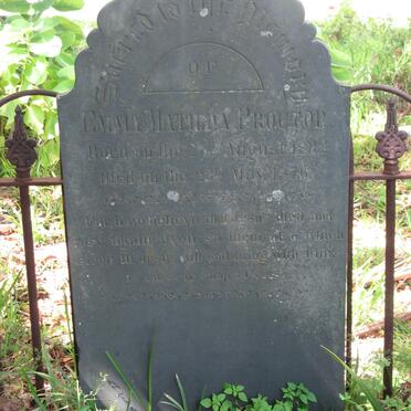 P - Vanne :: Surnames - P