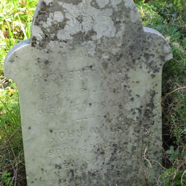 WILSON Charles Herbert 1891-1892 :: WILSON John -190? :: WILSON Sarah Gertrude