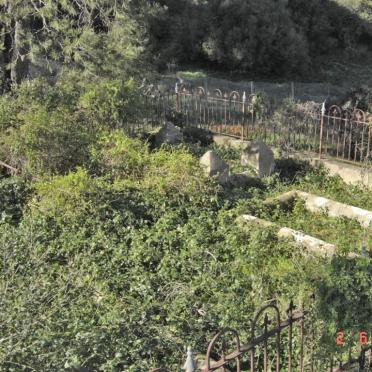 3.  Overview of the graves we found about 50m from the vault inside the Tygerberg nature reserve.