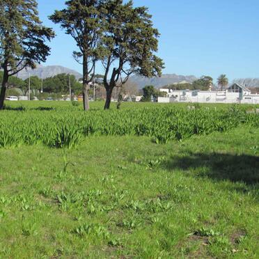 2. Overview / Oorsig