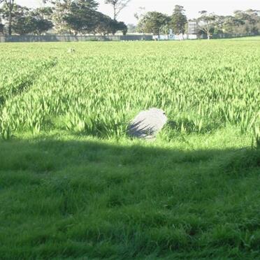 4. Overview / Oorsig