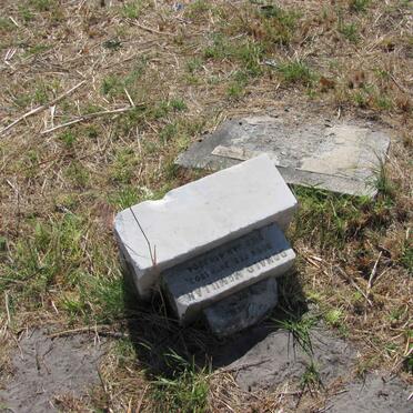 McMILLAN Donald 1903-1904