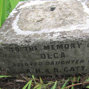 Western Cape, CAPE TOWN, Kenilworth