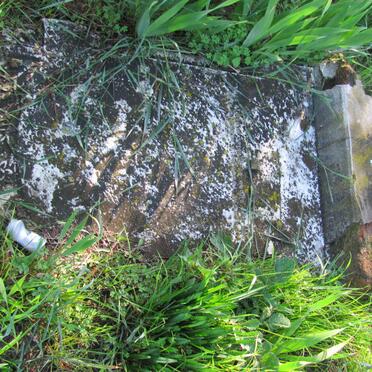 SOMERVILLE Mary Anne -1908