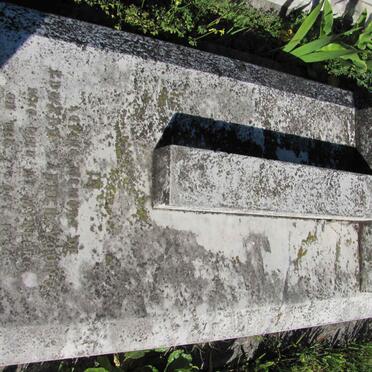 YOUNG Edward Carder -1896