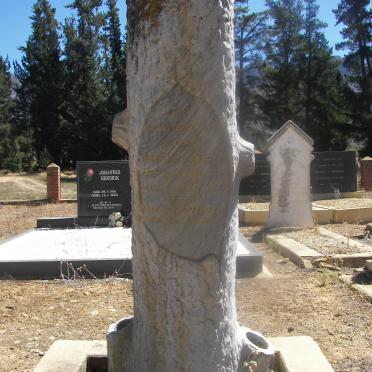 HANEKOM Abraham 1902-1928