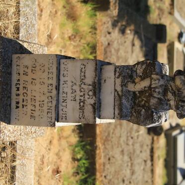 STRAUSS Baba -1953-1953