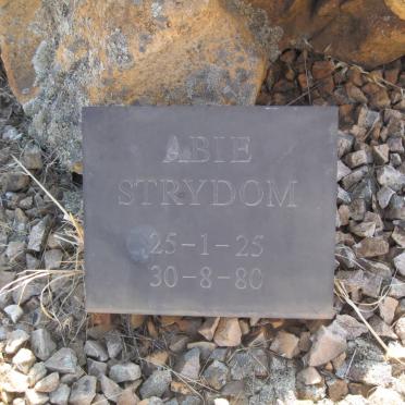 STRYDOM Abie 1925-1980 