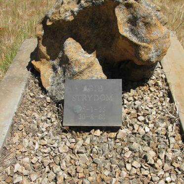 STRYDOM Abie 1925-1980