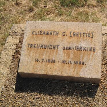 TREURNICHT Elizabeth C. nee JENKINS 1932-1969