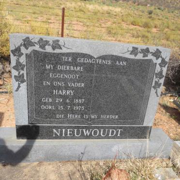 NIEUWOUDT Harry 1887-1975