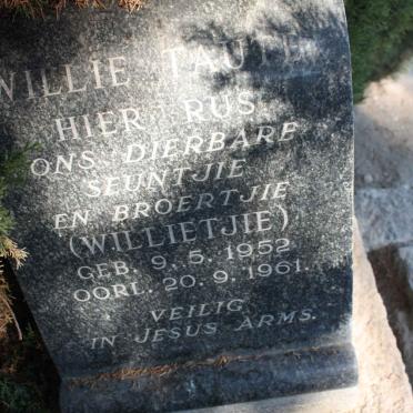 TAUTE Willie 1952-1961