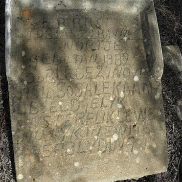 NORTJE Tobias Johannes 1882-1954