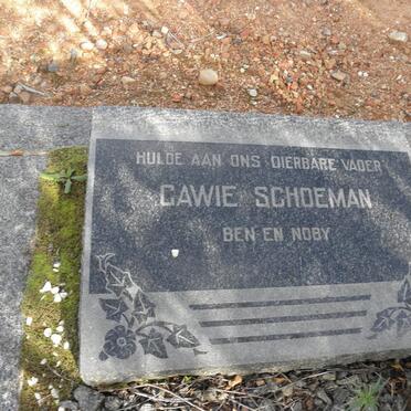 SCHOEMAN Gawie
