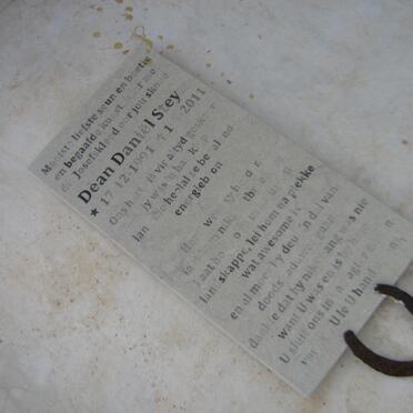 STEYN Dean Daniël 1991-2001