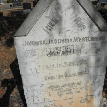 WESTENBERG Johanna Jacomina nee MULLER 1888-1954