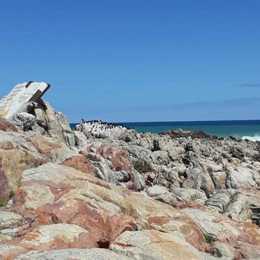 Western Cape, GANSBAAI, De Kelders, Beach rocks, Memorial plaque