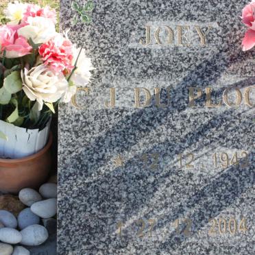 P - Vanne :: Surnames - P