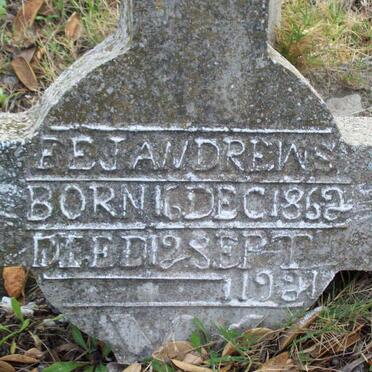 ANDREWS F.E.J. 1862-19?1