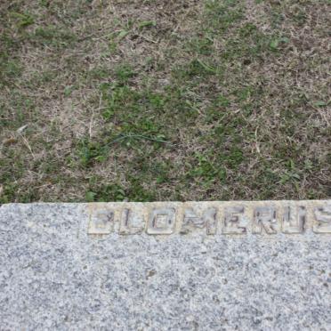 BLOMERUS 