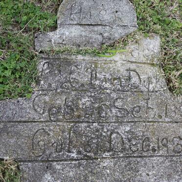 DYK P.,  van 1834-1930